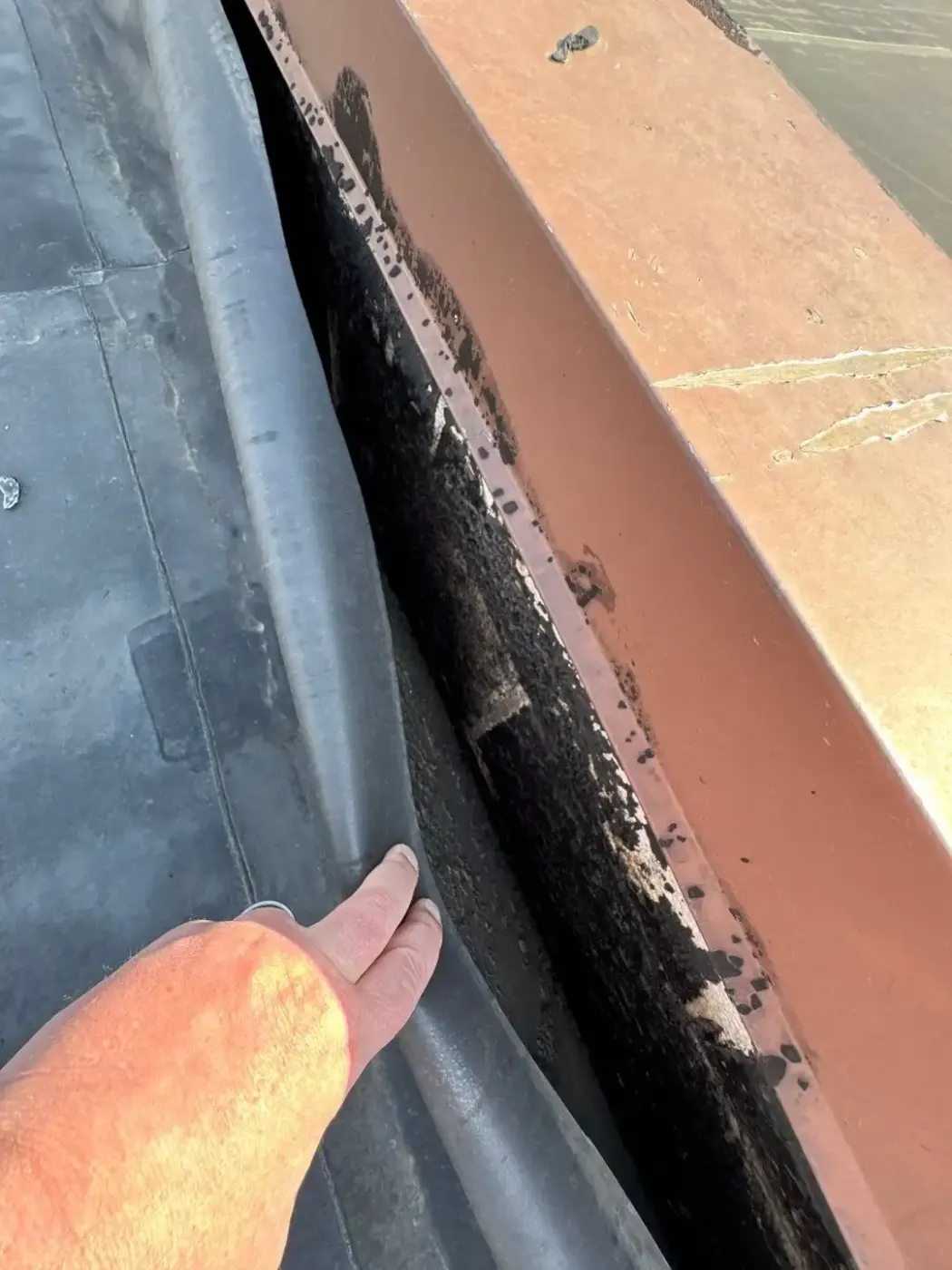 Membrane repair completed in Delphi